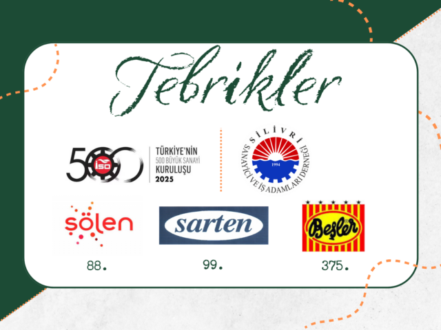 Türkiye’nin 500 Büyük Sanayi Kuruluşu 2025